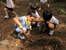 환경과 자연체험 교육